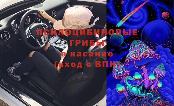 дживик Арсеньев