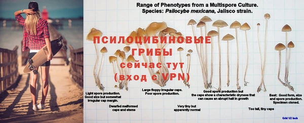 дживик Арсеньев