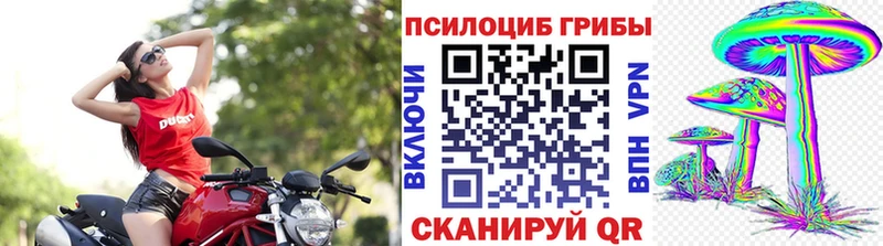 купить наркотики сайты  Вязники  Псилоцибиновые грибы Psilocybine cubensis 