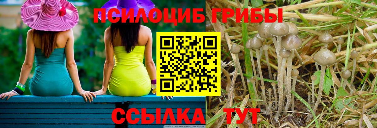 Меф мяу мяу Вязники