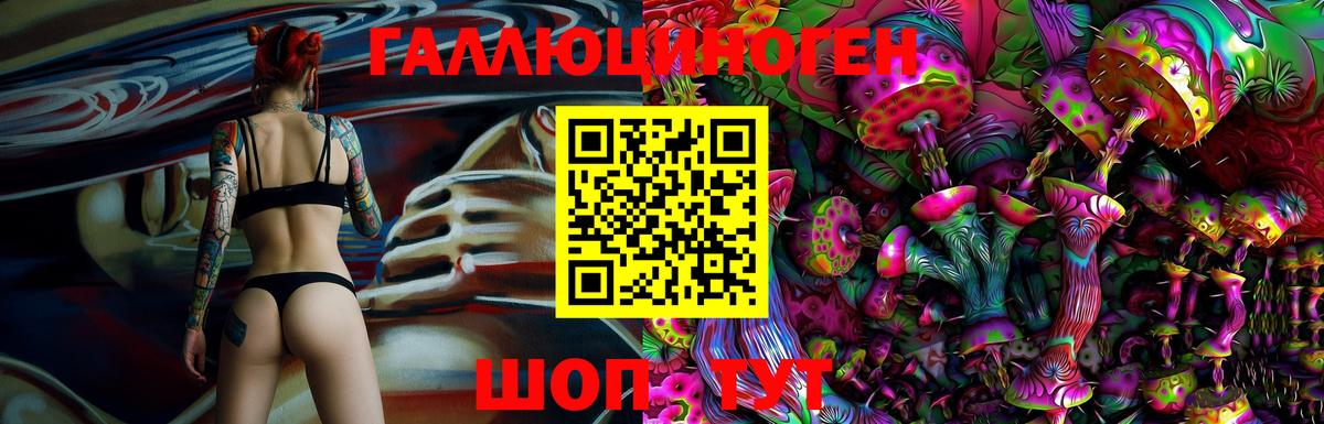 Вязники  Псилоцибиновые грибы Magic Shrooms  Вход с VPN  Псилоцибиновые грибы Psilocybe 